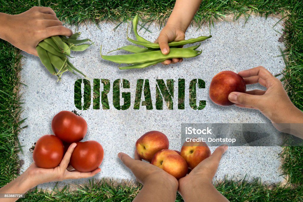 Organic Food Benefits for Daily Diet: Why More People Are Switching to Cleaner Eating Organic Food Benefits for Daily Diet: Why More People Are Switching to Cleaner Eating